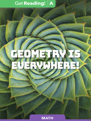 cover image of Geometry Is Everywhere!
